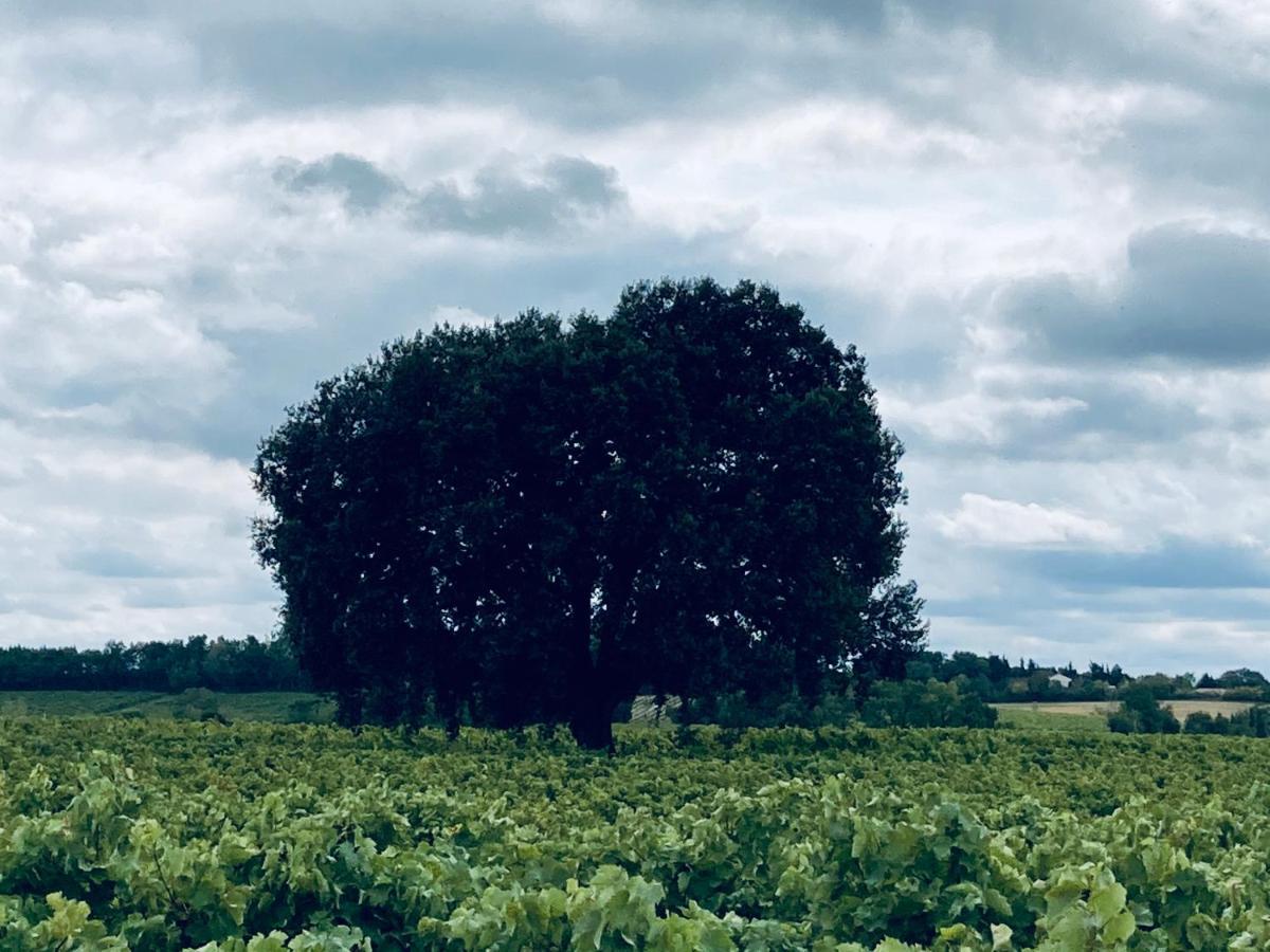 " Venez Dormir Chez Nous " #Condom#Gascogne#D'Artagnan#Armagnac#Le Bonheur Est Dans Le Gers Exterior foto